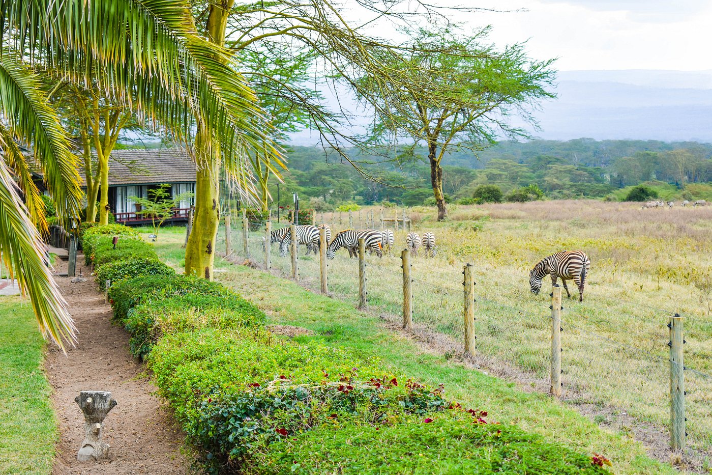Lake Nakuru Lodge gallery 3